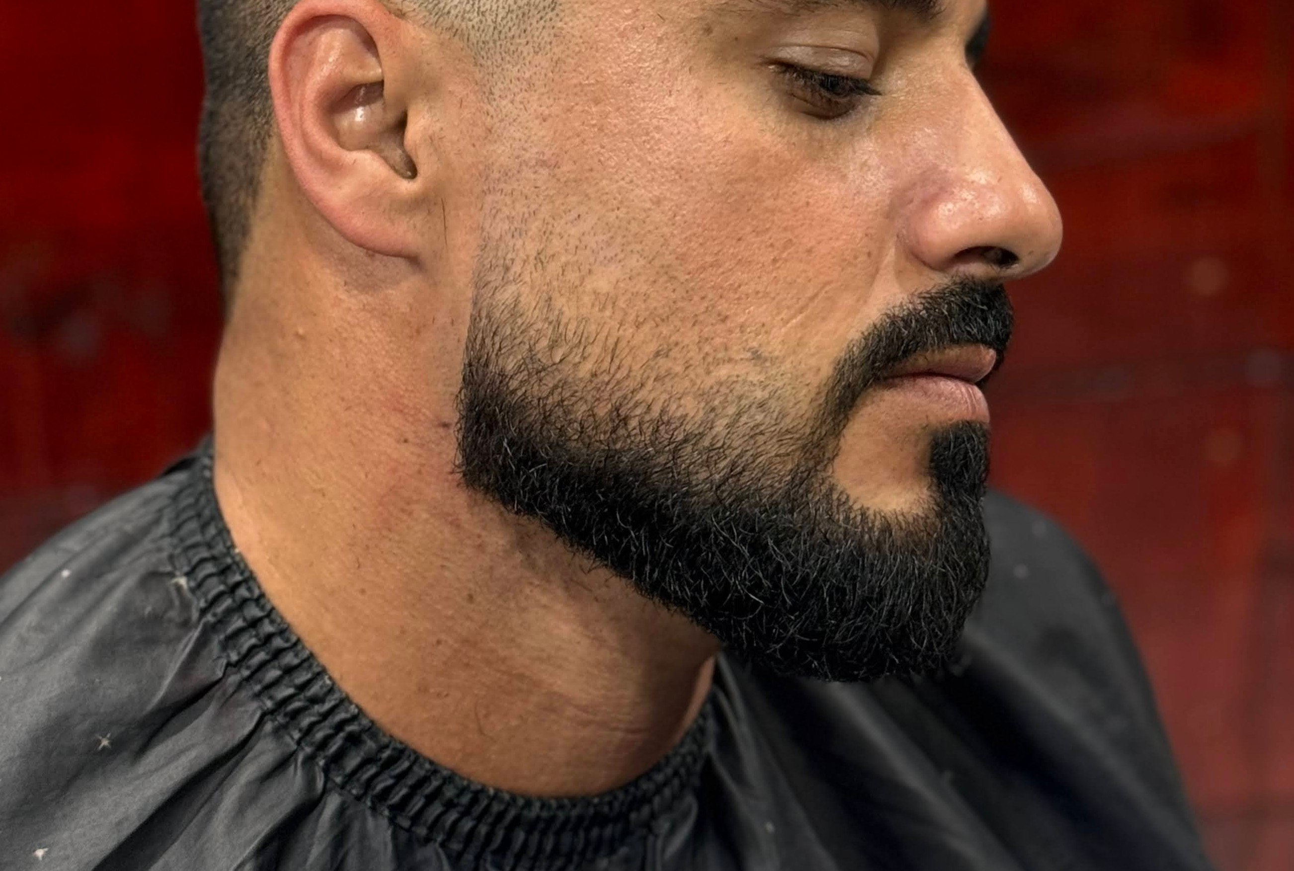 Barba